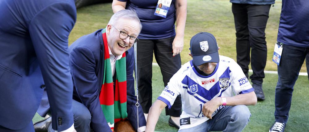 Premier Albanese ist in Australien immer beliebter.