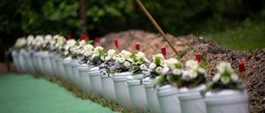 dpatopbilder - 12.05.2023, Hessen, Gießen: Urnen stehen während einer Beisetzung von Körperspendern der Universität Gießen auf dem Neuen Friedhof nebeneinander. (Zu dpa «Wenn Tote den Lebenden helfen - viele Menschen zu Körperspende bereit») Foto: Sebastian Gollnow/dpa +++ dpa-Bildfunk +++