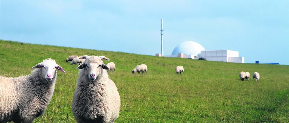 Das Atomkraftwerk Brokdorf war bis Dezember 2021 am Netz. Nun wird es zurückgebaut.