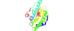 Struktur des Proteins HSP90, das besonders von Tumorzellen benötigt wird. Das kleine rote Molekül in der Mitte mit den sechseckigen Ringen könnte die Funktion von HSP90 hemmen. Es wurde mit Hilfe 
von Maschinellem Lernen gefunden.