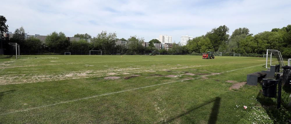 Der Sportplatz „Nowawiese“ am Park Babelsberg.