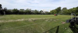 Der Sportplatz „Nowawiese“ am Park Babelsberg.