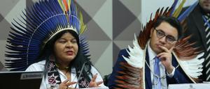 Indigenen-Ministerin Sônia Guajajara