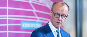 Mal genauer hinschauen: Friedrich Merz, der Oppositionsführer von der CDU.