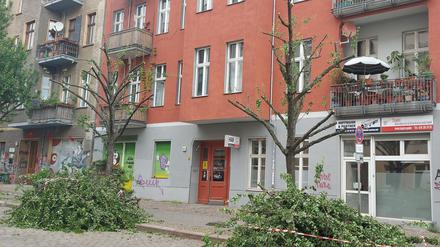 Radikalschnitt an Birnenbäumen in der Immanuelkirchstraße.