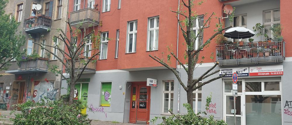 Radikalschnitt an Birnenbäumen in der Immanuelkirchstraße.