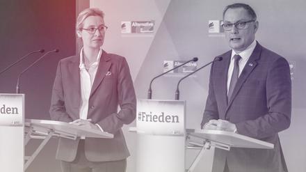 Die Umfragen in Ostdeutschland ergeben hohe Werte für die AfD. 