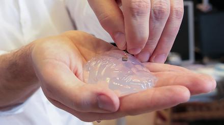 Der Wissenschaftler Grégoire Courtine vom Swiss Federal Institute of Technology in Lausanne (Schweiz) hält ein Silikon-Modell eines Primaten-Gehirns und ein Gehirn-Implantat in den Händen.