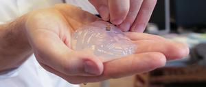 Der Wissenschaftler Grégoire Courtine vom Swiss Federal Institute of Technology in Lausanne (Schweiz) hält ein Silikon-Modell eines Primaten-Gehirns und ein Gehirn-Implantat in den Händen.