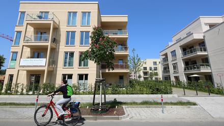 Neubauten, Eigentumswohnungen in Potsdam Bornstedt