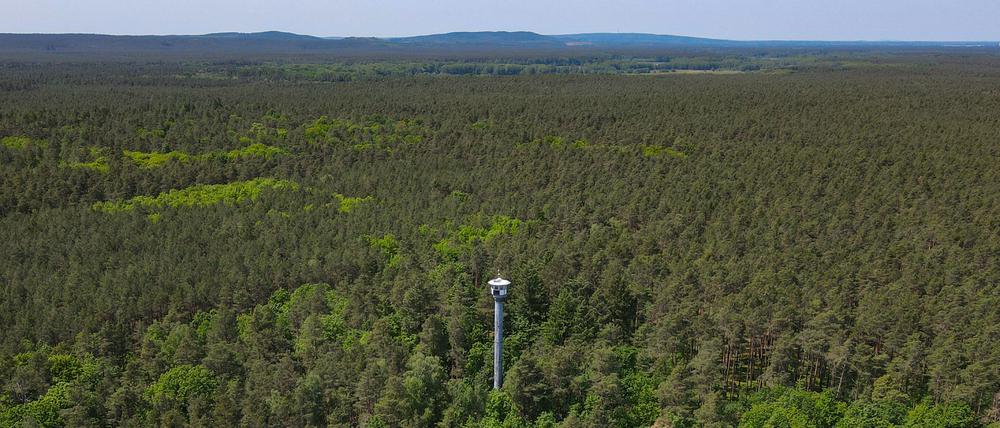 Brandenburg, Briesen: Ein Feuerwachturm mit Funktechnik und Kamera zur Überwachung von Bränden 