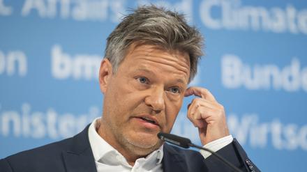 Bundeswirtschaftsminister Robert Habeck