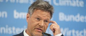 Bundeswirtschaftsminister Robert Habeck