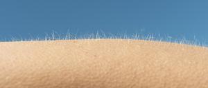 Getty Images Creative RF-2.925959512-HighRes_bearb.jpg