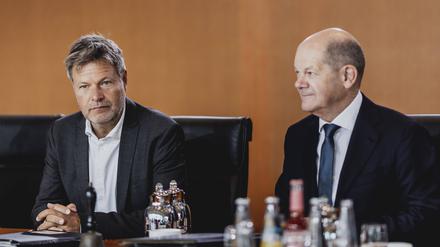 Einst verstanden sie sich als natürliche Partner: Aber die SPD von Bundeskanzler Olaf Scholz und die Grünen von Wirtschaftsminister Robert Habeck geraten in der Ampel häufig aneinander.