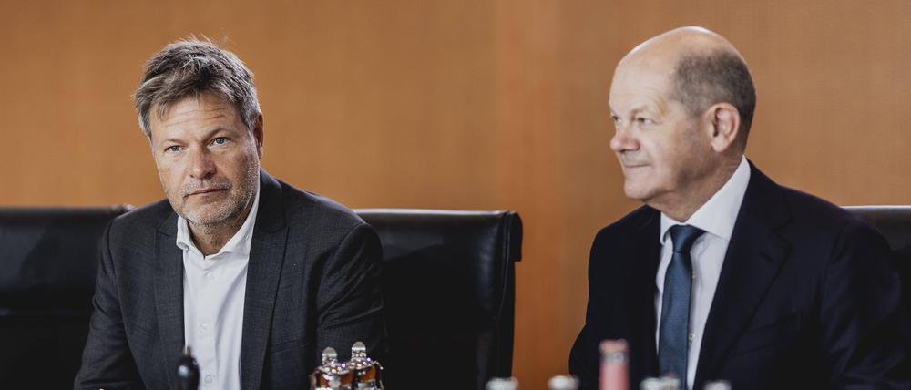 Einst verstanden sie sich als natürliche Partner: Aber die SPD von Bundeskanzler Olaf Scholz und die Grünen von Wirtschaftsminister Robert Habeck geraten in der Ampel häufig aneinander.