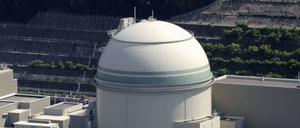Das AKW Takahama Kernkraftwerk in Japan (Archivbild)