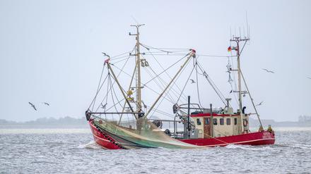 Ein Krabbenkutter fährt zwischen Spiekeroog und Neuharlingersiel.