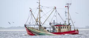 Ein Krabbenkutter fährt zwischen Spiekeroog und Neuharlingersiel.