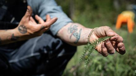 Grüner Daumen: In seinem Monk Garden zieht Martin Rötzel seltene Kräuter, mit denen er die Spitzengastronomie beliefert. 
