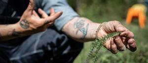 Grüner Daumen: In seinem Monk Garden zieht Martin Rötzel seltene Kräuter, mit denen er die Spitzengastronomie beliefert. 