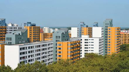 Märkisches Viertel, Reinickendorf, Berlin, Deutschland / Märkisches Märkisches Viertel Berlin Deutschland