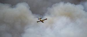 Ein Waldbrand in der Nähe von San Agustin, Aragonien in Spanien. 