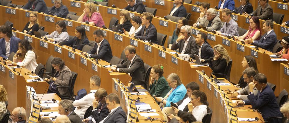 Plenarsitzung im Europäischen Parlament in Brüssel: Geißeln des „grünen Verbotswahnsinns“.