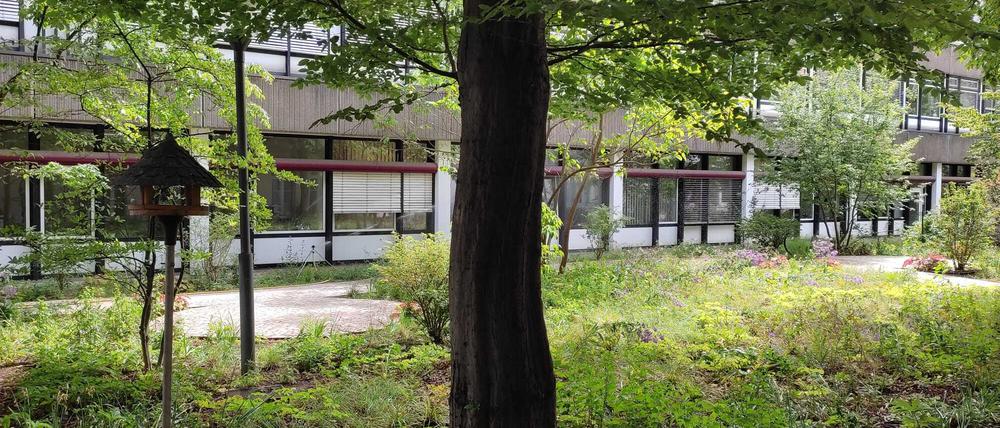 Die Buche spendet den Pflanzen des Palliativgartens Schatten.