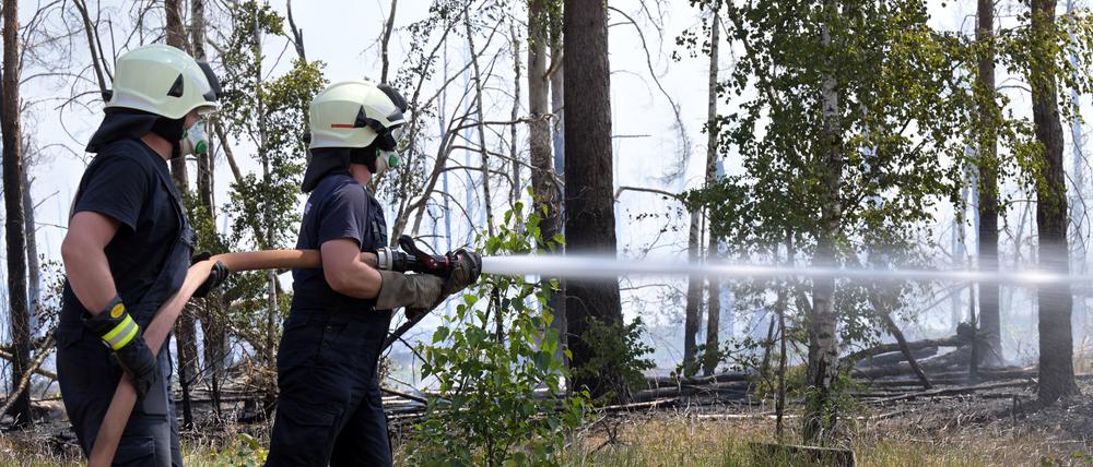 Zwei Feuerwehrmänner im Einsatz bei dem Waldbrandbrand bei Jüterbog.