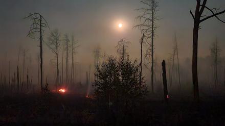 Flammen lodernden bei einem Waldbrand auf einem ehemaligen Truppenübungsplatz bei Jüterbog. 