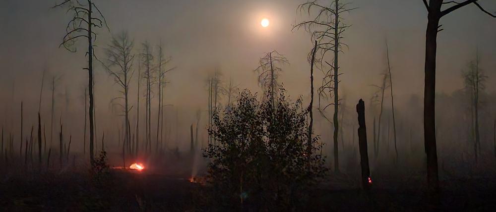 Flammen lodernden bei einem Waldbrand auf einem ehemaligen Truppenübungsplatz bei Jüterbog. 