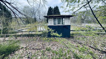 Das ehemalige Familienbad im Berliner Olympiapark ist nur noch eine Ruine.
