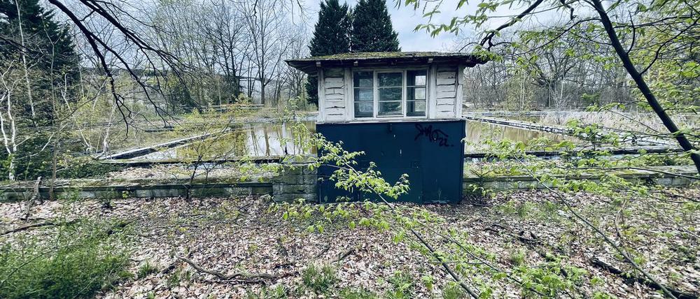 Das ehemalige Familienbad im Berliner Olympiapark ist nur noch eine Ruine.