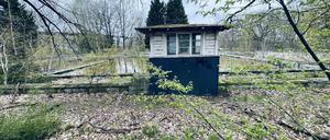 Das ehemalige Familienbad im Berliner Olympiapark ist nur noch eine Ruine.