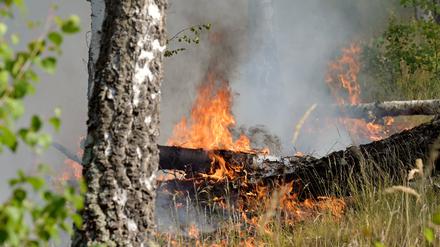 Der Waldbrand in dem ehemaligen Truppenübungsgebiet ist immer noch nicht gelöscht.