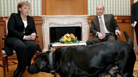 Merkel und Putins Hund.