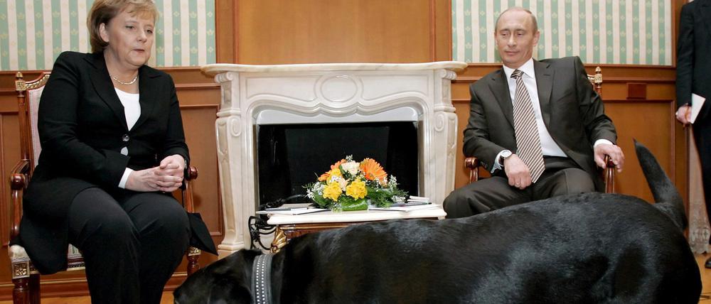 Merkel und Putins Hund.