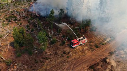 Einsatzkräfte der Feuerwehr bekämpfen in einem Waldstück nahe Jüterbog das Feuer.