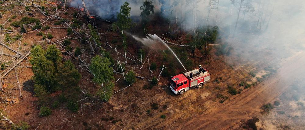 Einsatzkräfte der Feuerwehr bekämpfen in einem Waldstück nahe Jüterbog das Feuer.