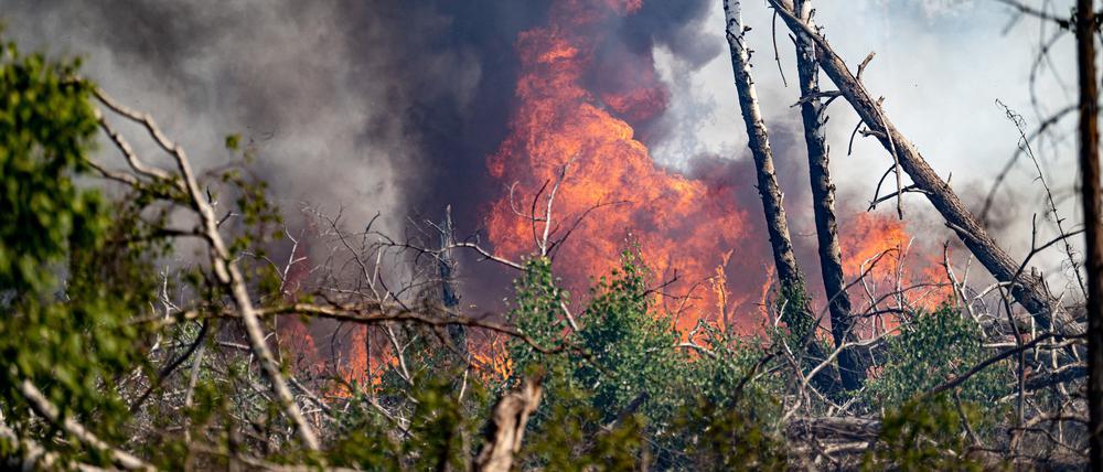 Der Waldbrand brach am Mittwoch aus.