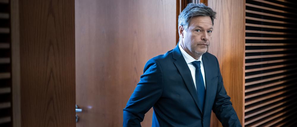Bundeswirtschaftsminister Habeck.