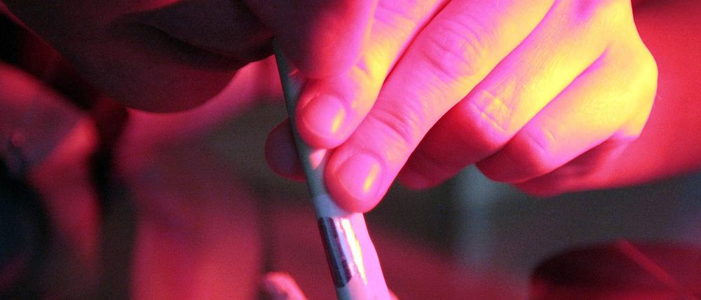Die Wirkung von Drogen wird entscheidend von unserem Belohnungssystem beeinflusst.