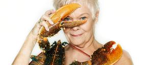 Der Begleiter von Dame Judy Dench wirkt nur wehrhaft. Auch der Hummer ist ein durch die Tiefseefischerei bedrohter Meeresbewohner. 