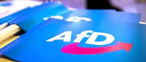 Die AfD erreicht aktuell Umfrage-Höchstwerte.