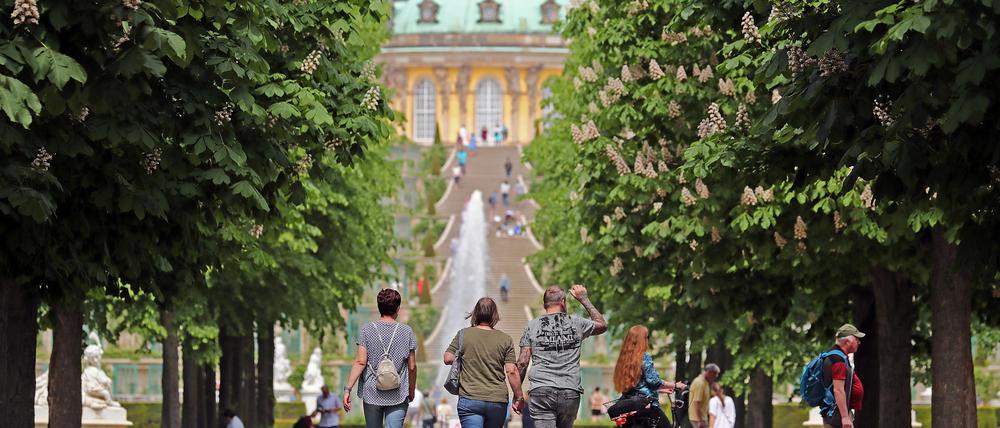 Blick in den Park Sanssouci. 