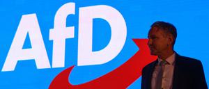 Björn Höcke, AfD-Landessprecher in Thüringen, beim Landesparteitag der Alternative für Deutschland Anfang Mai.