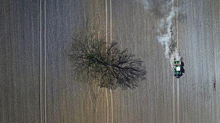 Ein Landwirt bearbeitet ein Feld mit einem Traktor (Symbolfoto).