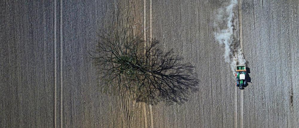 Ein Landwirt bearbeitet ein Feld mit einem Traktor (Symbolfoto).