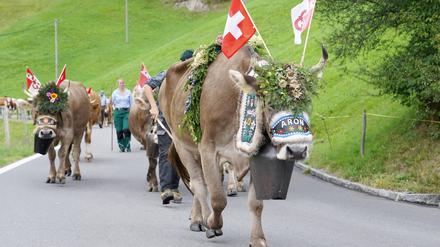 Wie hier im Kanton Obwalden werden Schweizerdeutsche Dialekte gesprochen, die selbst Deutschsprachige nicht verstehen.